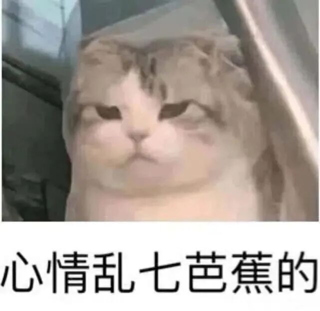 龙3.jpg