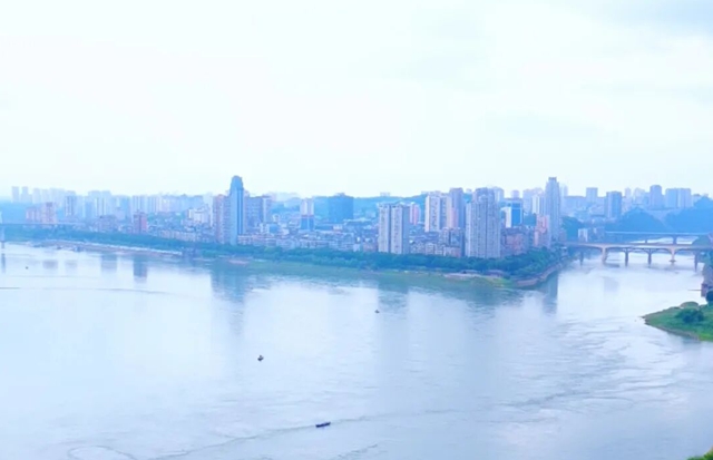 一眼览三桥，泸州城区有个宝藏观景地
