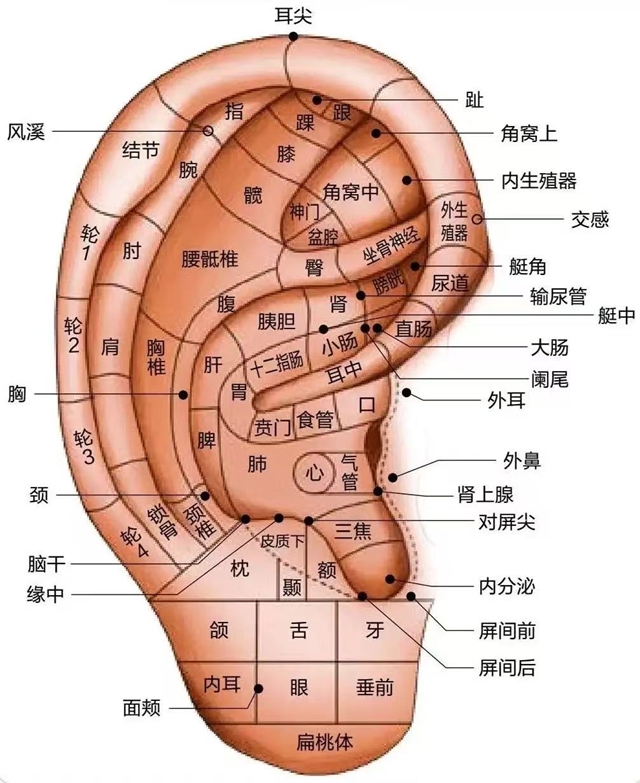 不用打针吃药!这种中医无创疗法,帮娃轻松调理多种不适(图3) 3.jpg