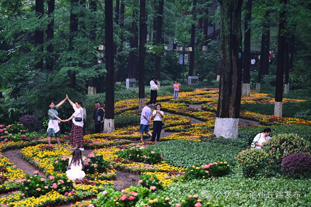 泸州忠山公园:一朵绣球花,满园烟火气(图3) 3.jpg