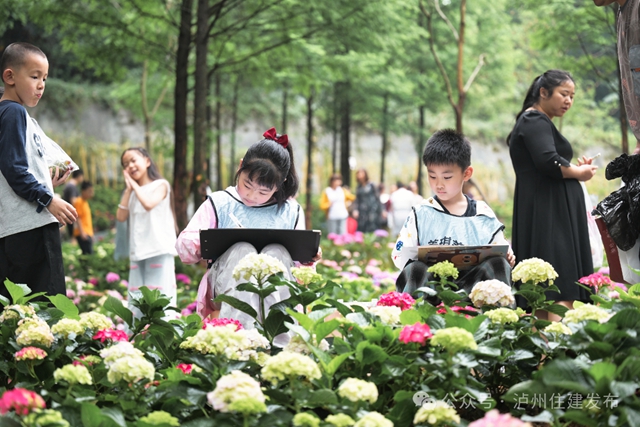 泸州忠山公园:一朵绣球花,满园烟火气(图5) 5.jpg