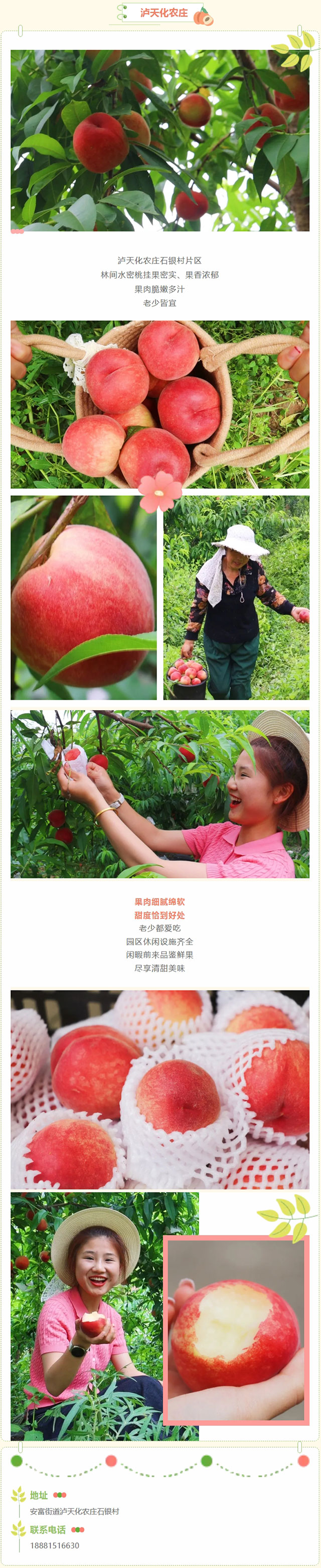 屏幕截图_23-5-2026_102927_mp.weixin.qq.com.jpg