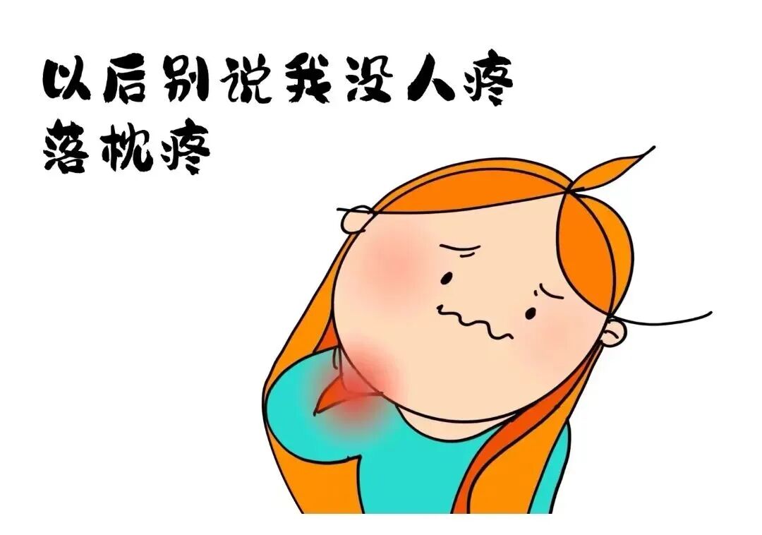 皮1.jpg
