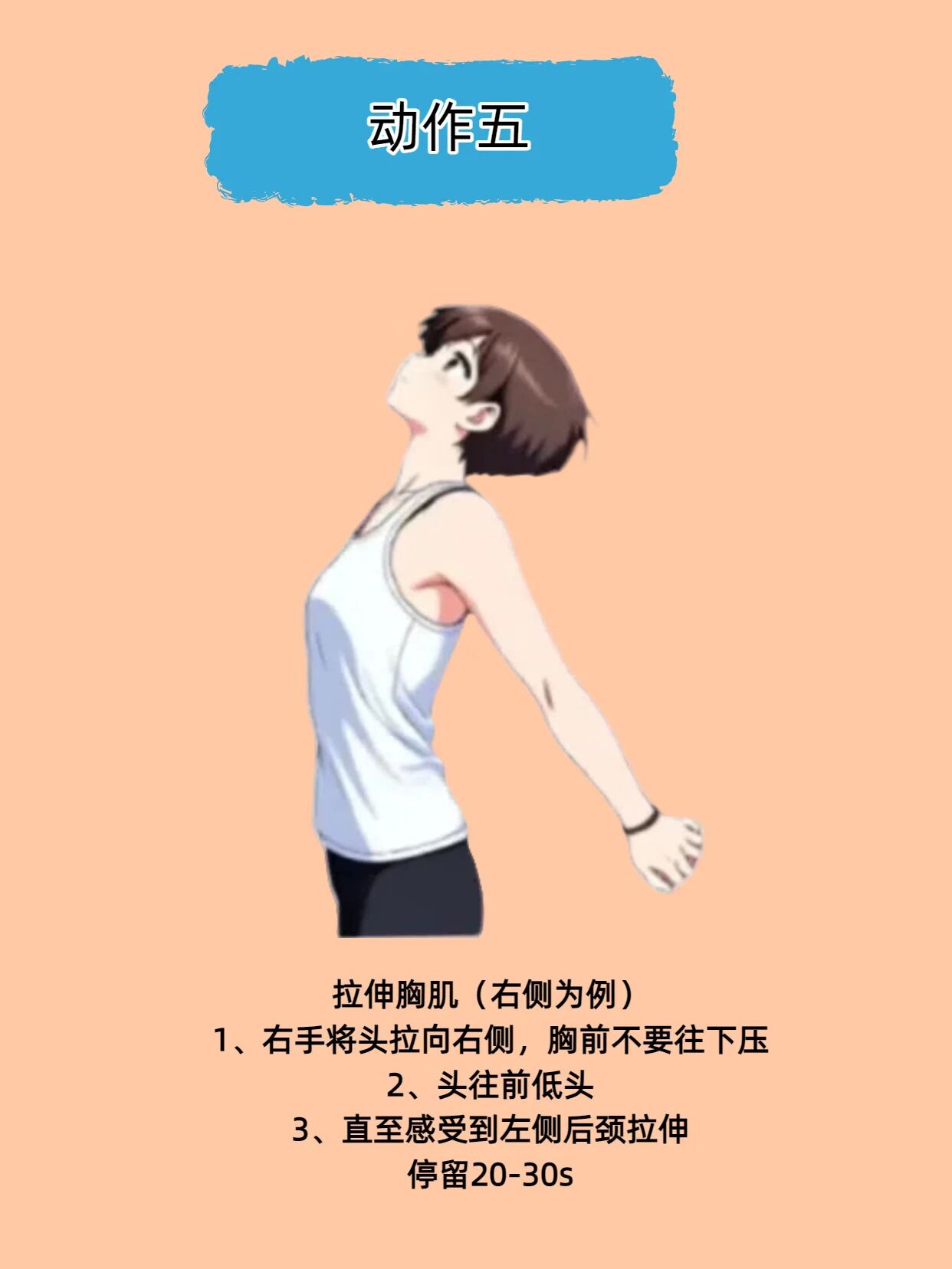 皮9.jpg