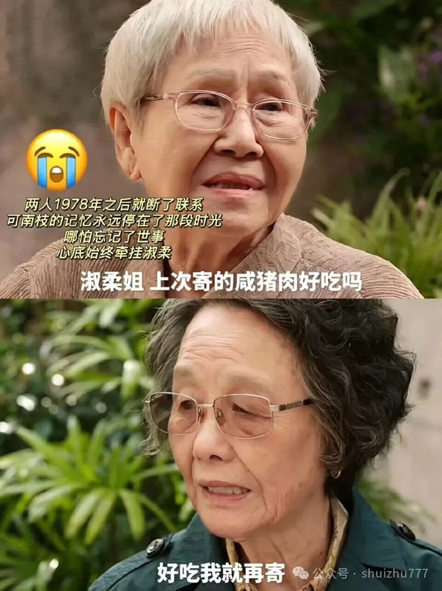 太好哭了!《给阿嬷的情书》:南枝忘了全世界,却记得“寄咸肉”(图2) 书2.jpg