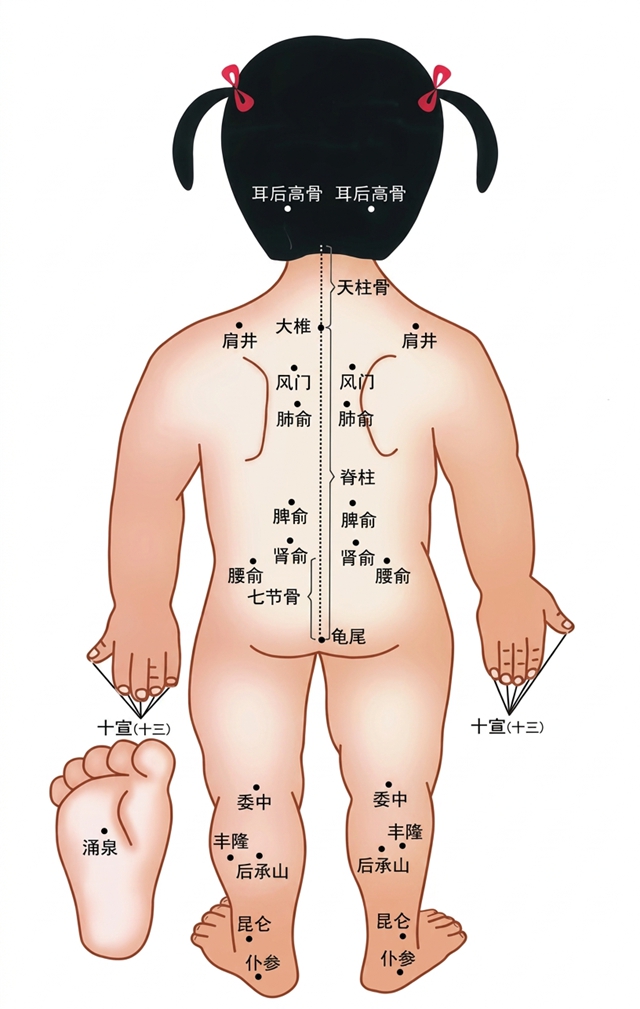 被很多家长忽略的小儿艾灸,到底有什么好处?(图7) 艾8.jpg