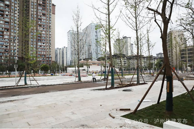 泸州梓橦城西学校西校区冲刺收尾(图4) 4.jpg