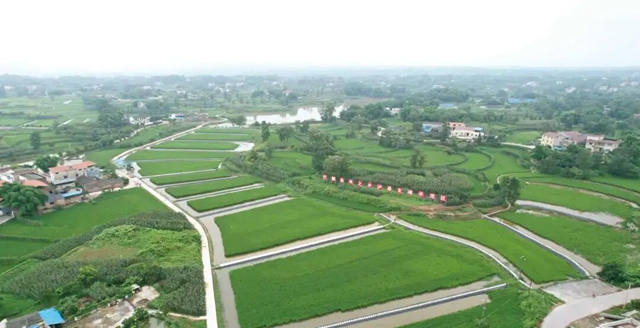 泸县2.jpg