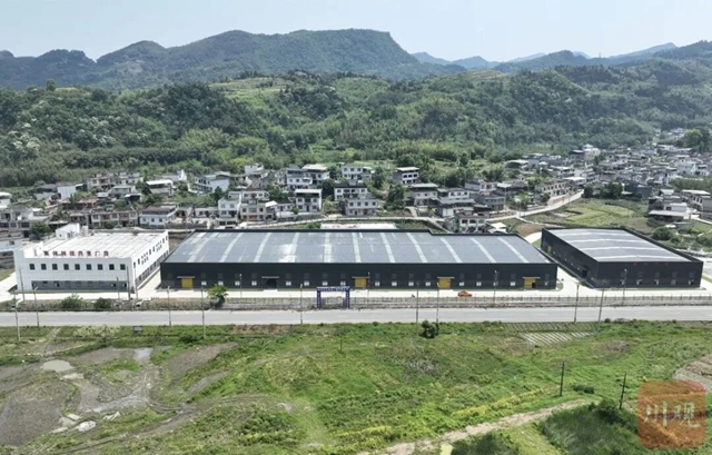 林5.jpg