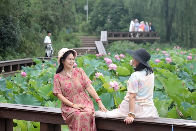龙马潭有来自太空的荷花，你看过吗？