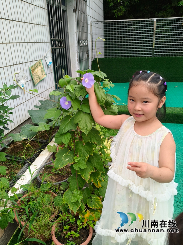 花1.jpg