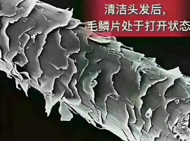 风4.jpg