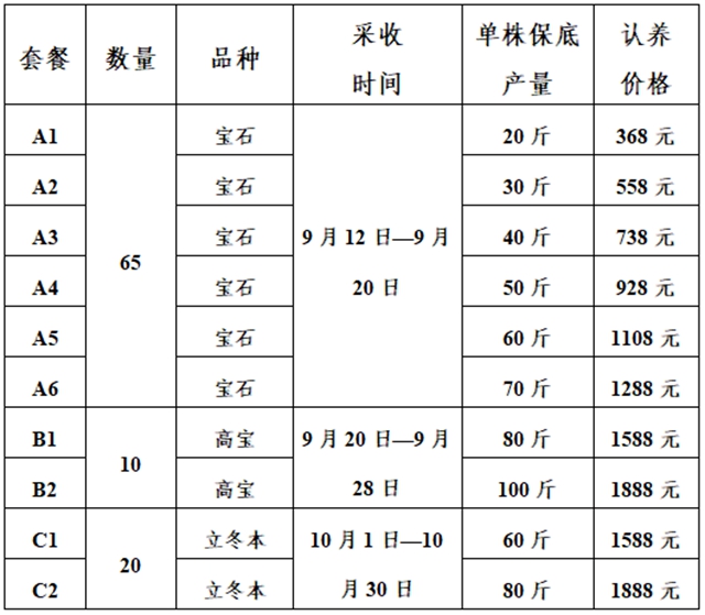 龙3.jpg