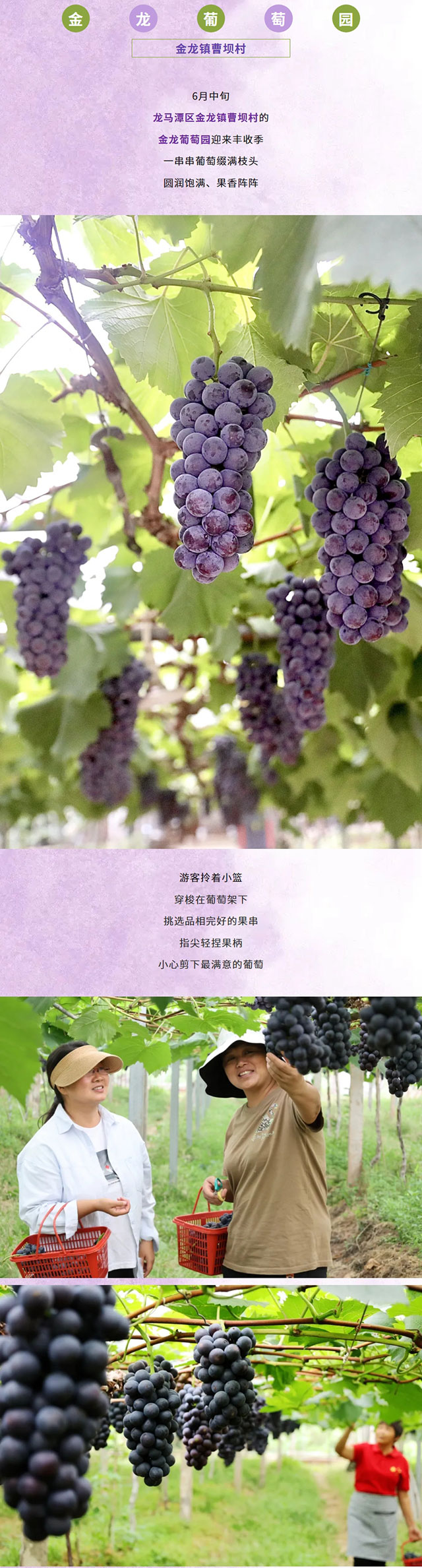 屏幕截图_20-6-2026_22262_mp.weixin.qq.com.jpg