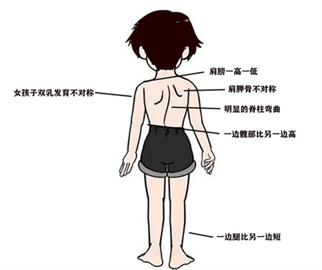 体2.jpg