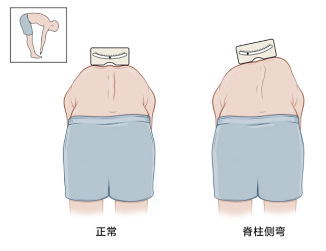 体3.jpg