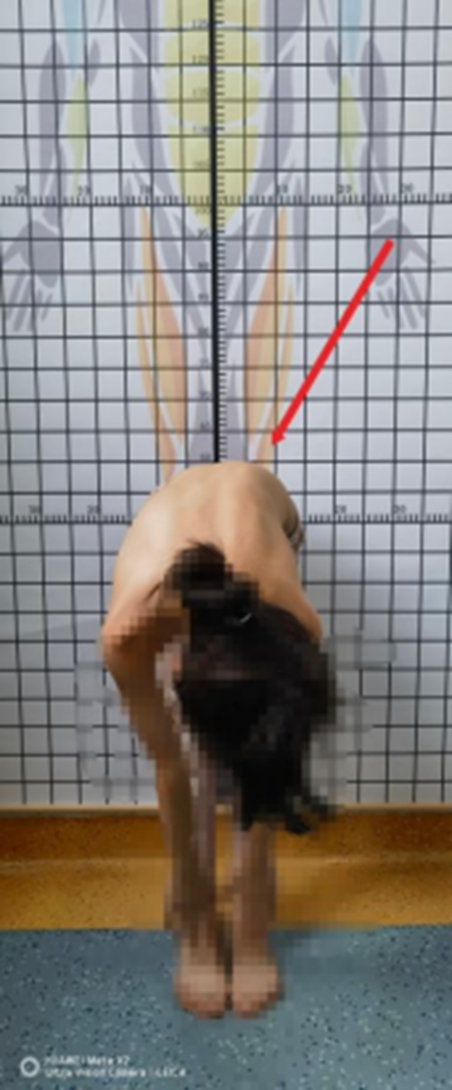 体4.jpg