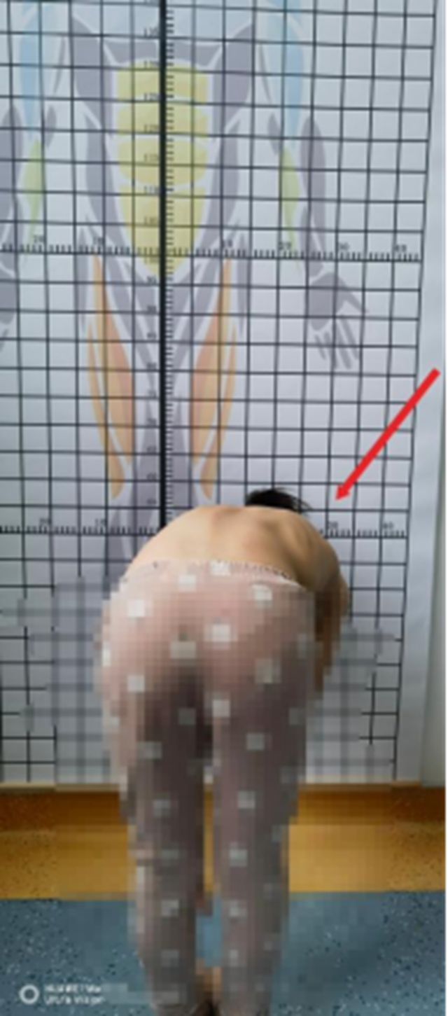 体5.jpg