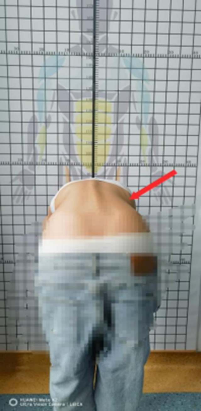 体7.jpg