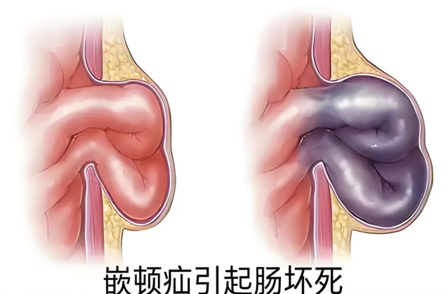 气6.jpg