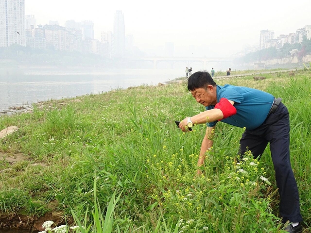昨天,泸州“老汪”在人民大会堂接受表彰!(图6) 汪6.jpg
