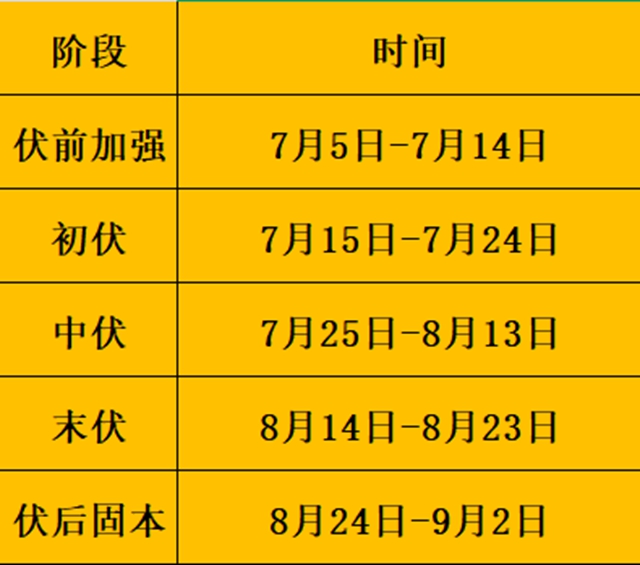 伏1.jpg