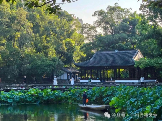 忠山公园要搞“荷”事?邀您来见证(图3) 荷3.jpg