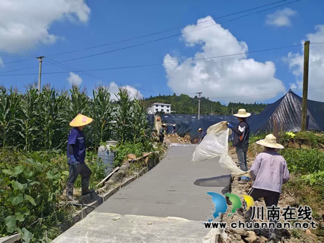 古蔺黄荆：以基础设施之“实” 筑森林“四库”之“基”