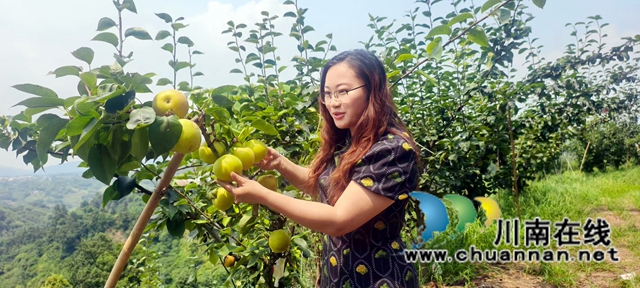 图1：午休时间进果园查看梨子.jpg