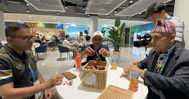 在泸州,见证一枚荔枝的千年和万里(图11) 10.jpg