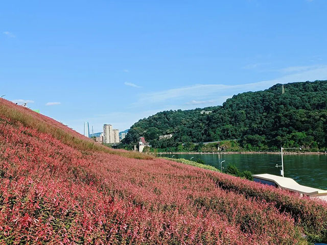 亮灯!春晚宜宾分会场主舞台迁建完成(图4) 4.jpg