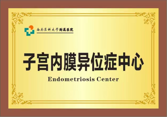 布达佩斯-上海-泸州三地连线 共促内异症诊疗与国际标准接轨(图4) 布4.jpg