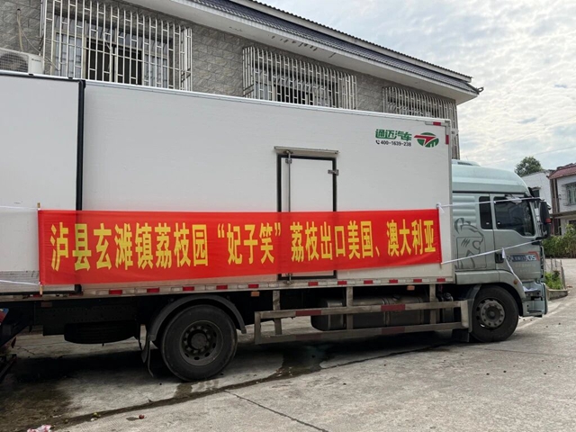 泸县荔枝首次出口,近11万斤“妃子笑”远销美国、澳大利亚(图1) 荔枝1.jpg