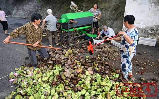 江阳区况场街道:来者“荷”人,为“荷”进城(图10) 10.jpg