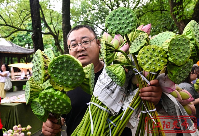江阳区况场街道:来者“荷”人,为“荷”进城(图13) 13.jpg