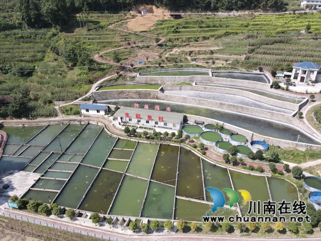 古蔺:溶洞冷水唤醒舌尖清凉,一道“南瓜鲜鱼”成了夏日消暑顶流(图4) 鱼4.jpg