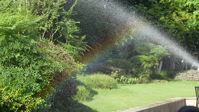 晨练瘦身,龙马潭这些“天然健身房”,走起(图1) 1.jpg