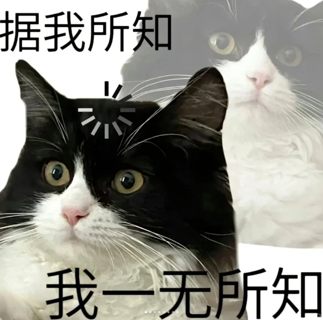 【科普】“糖友”注意,脚丫子出现这些症状警惕糖尿病足!(图2) 足2.jpg
