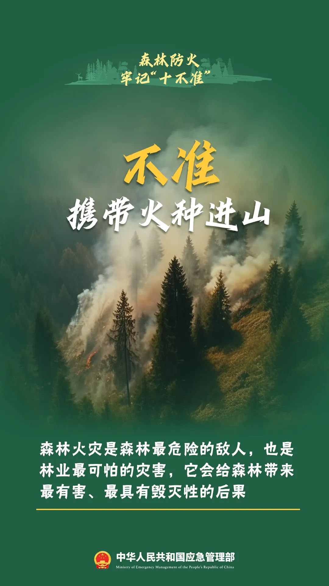 违规用火引发森林火情,当事人赔偿11万元丨泸州通报多起典型案例(图1) 11.jpg