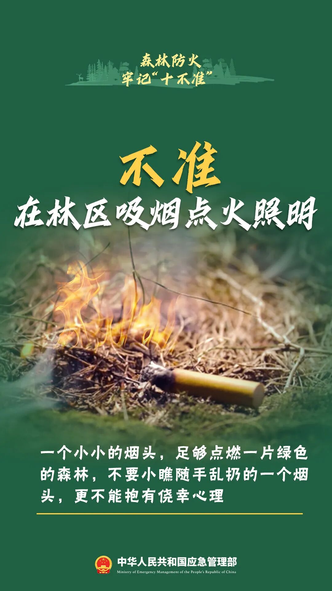 违规用火引发森林火情,当事人赔偿11万元丨泸州通报多起典型案例(图3) 13.jpg