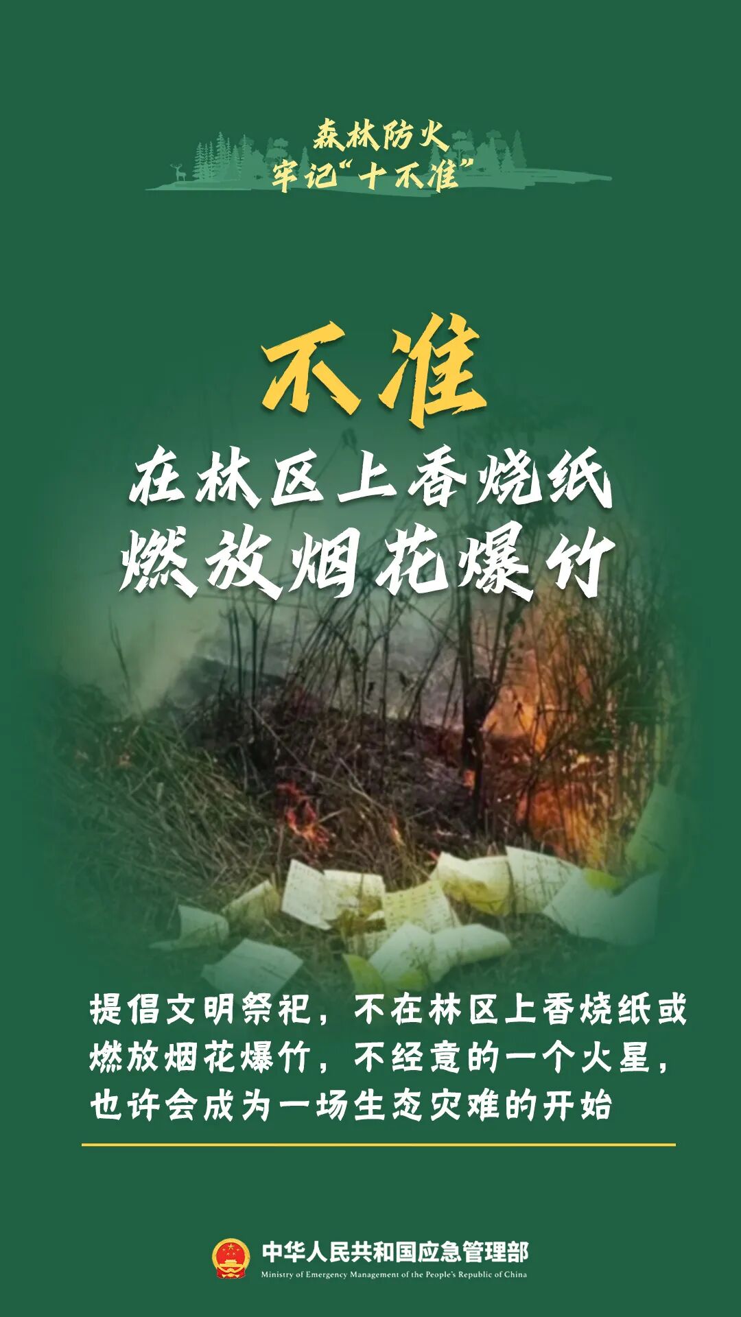 违规用火引发森林火情,当事人赔偿11万元丨泸州通报多起典型案例(图5) 15.jpg