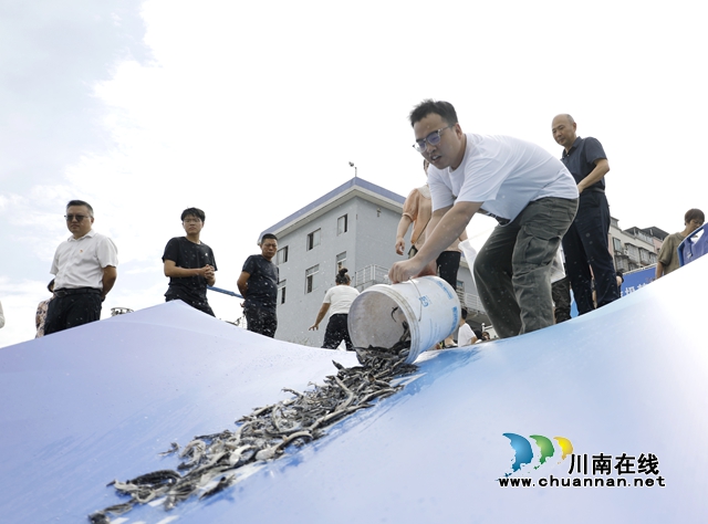 鱼2.jpg