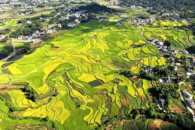 酒城立秋｜一半盛夏余温，一半大地丰收