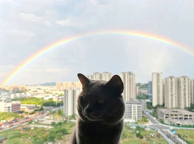 看，纳溪的彩虹！快把这份幸运分享给身边的人