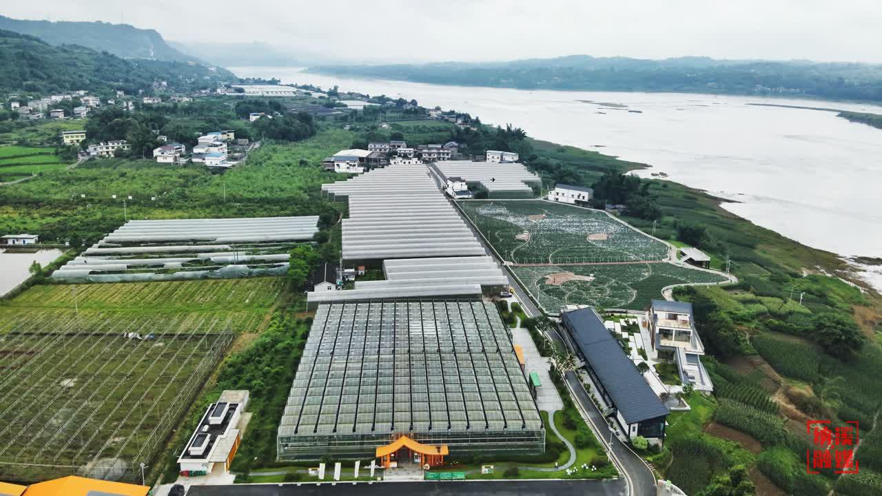 纳溪:生态打底多元发展 江岸催生清凉经济(图2) 2.jpg