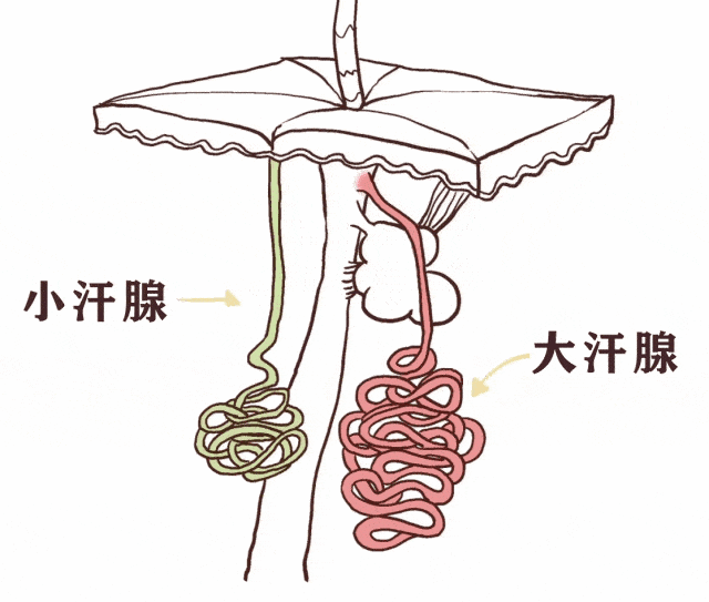 5.gif