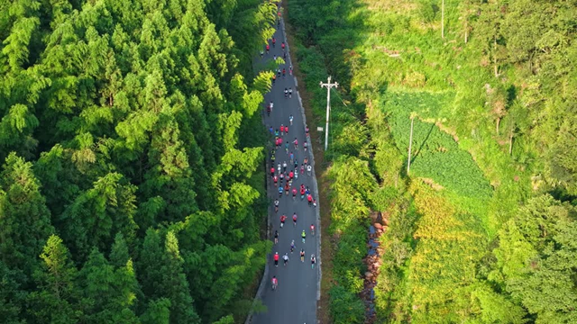 奔跑在红色热土上的森氧竞速,2026黄荆老林山地健康跑圆满完赛(图3) 3.jpg