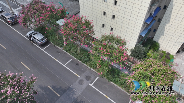 花2.jpg