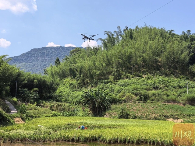 山３.jpg