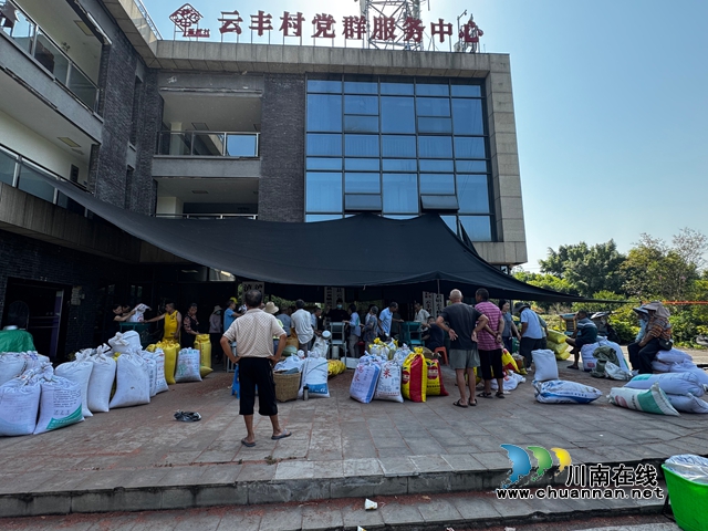 高粱收购现场.jpg